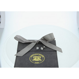 Puces d'oreilles VILLERSEXEL 2