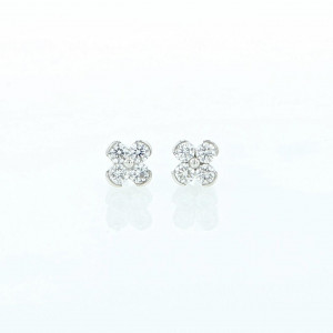 Puces d'oreilles VILLERSEXEL